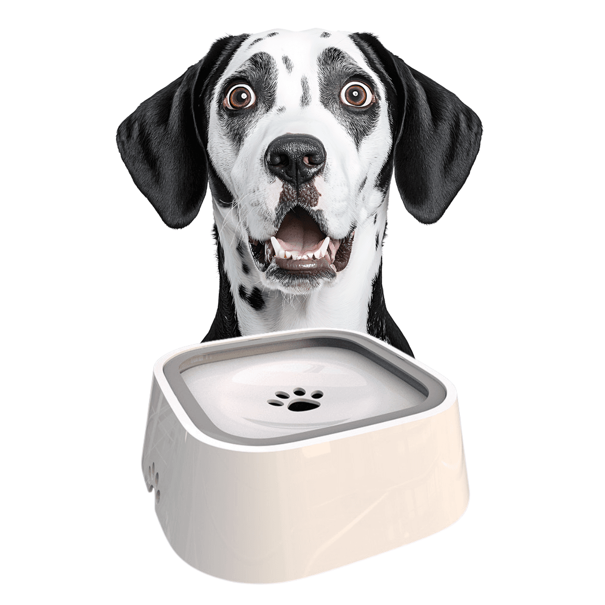 🐶🐱 Niechlapiąca miska – Koniec z mokrą podłogą po każdym łyku! 💧 + GRATISY!!!