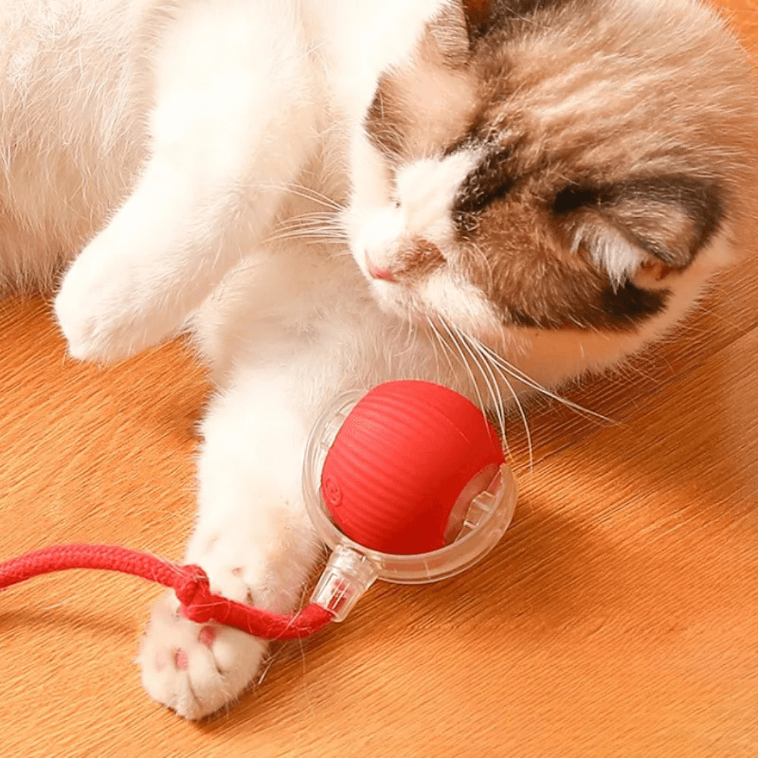 🐱 Interaktywna zabawka Kula Łapula dla kota – zabawa non-stop!