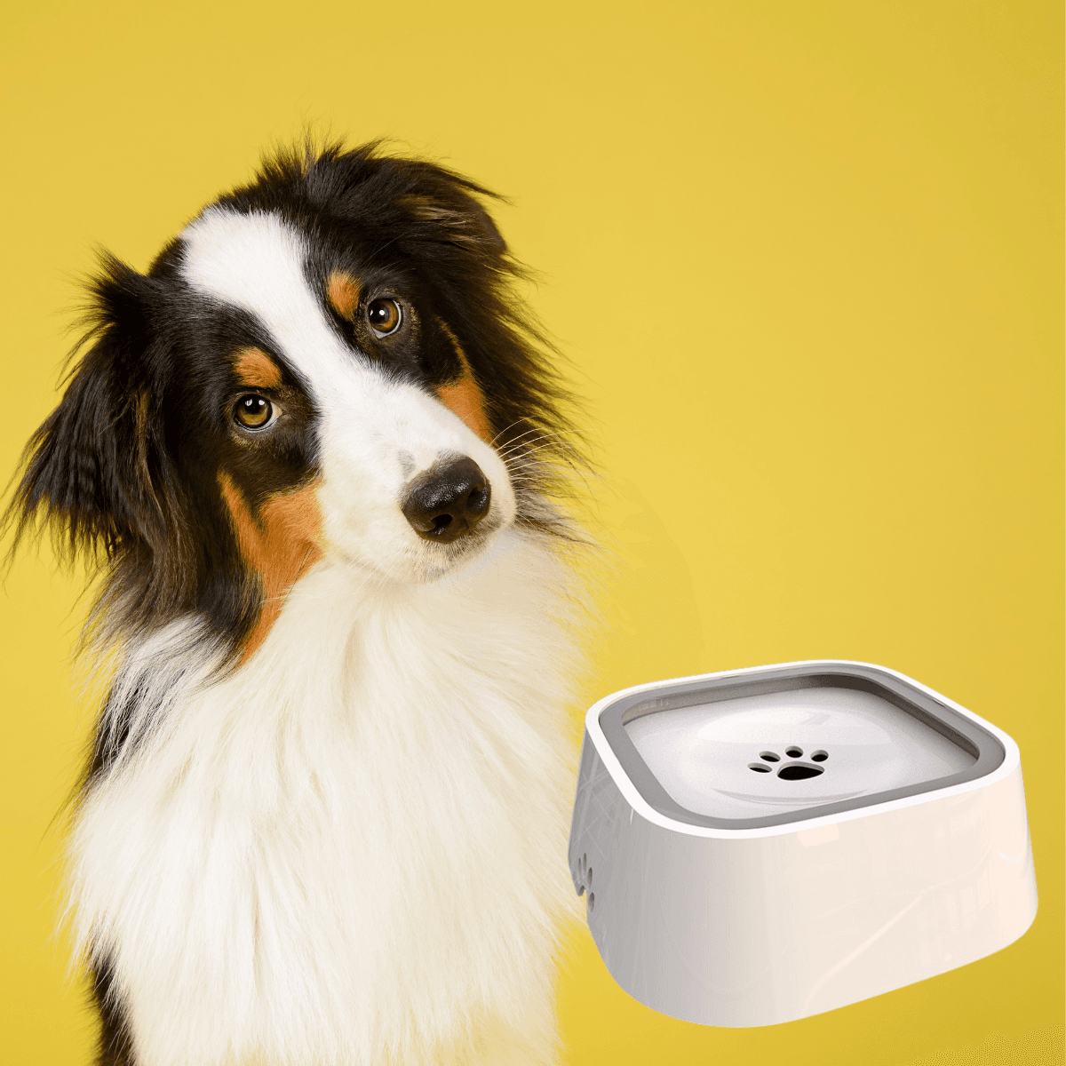 🐶🐱 Niechlapiąca miska – Koniec z mokrą podłogą po każdym łyku! 💧 + GRATISY!!!